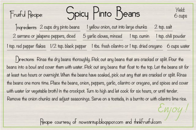 spicy-pinto-beans